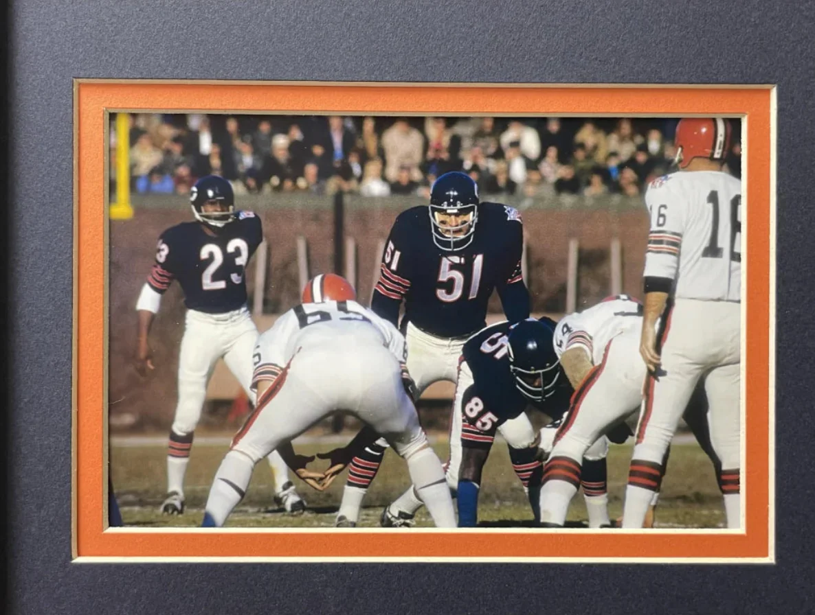 Chicago Bears Fan License Plate Framed Collage Memorabilia Walter Paton Butkus - Image 4
