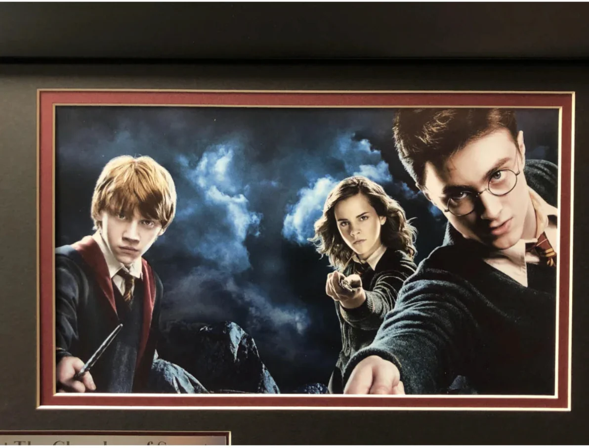 "Harry Potter" Flying Movie Car License Plate Framed Collage Chamber of Secrets - Image 5
