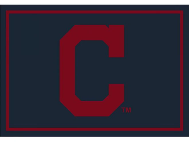 Imperial USA Officially Licensed MLB Spirit Area Rugs - Image 4