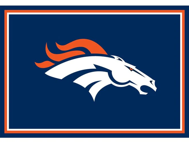 Imperial USA Officially Licensed NFL 3x4 Area Rugs - Image 11