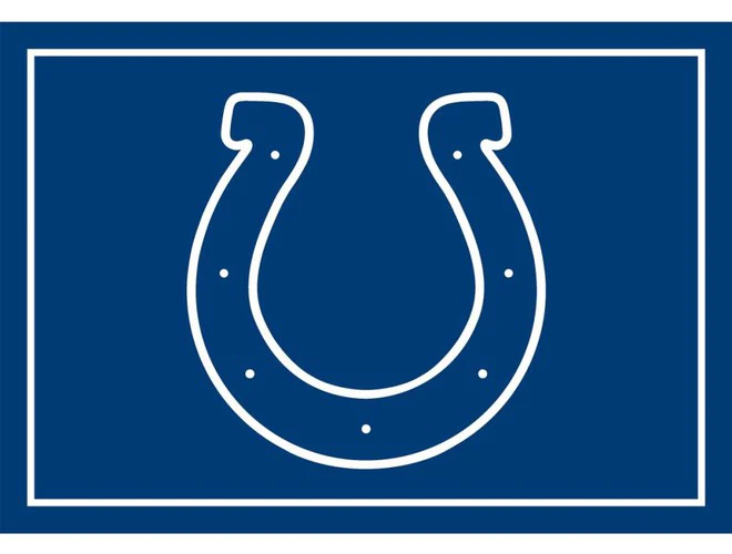 Imperial USA Officially Licensed NFL 3x4 Area Rugs - Image 15