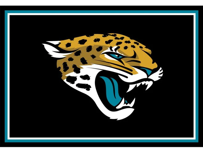 Imperial USA Officially Licensed NFL 3x4 Area Rugs - Image 16