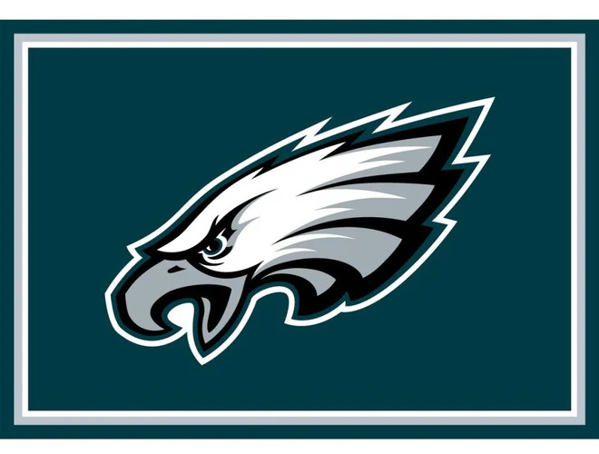 Imperial USA Officially Licensed NFL 3x4 Area Rugs - Image 26