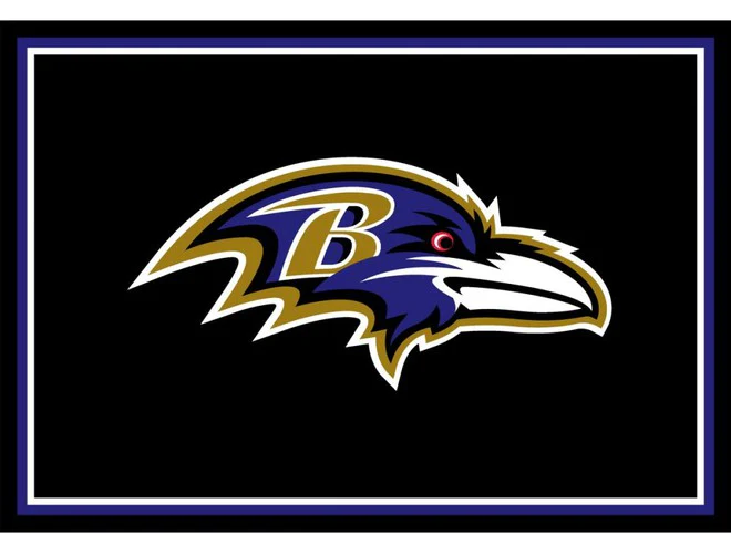 Imperial USA Officially Licensed NFL 3x4 Area Rugs - Image 4
