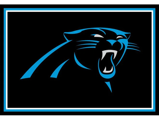Imperial USA Officially Licensed NFL 3x4 Area Rugs - Image 6