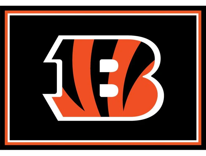 Imperial USA Officially Licensed NFL 3x4 Area Rugs - Image 8