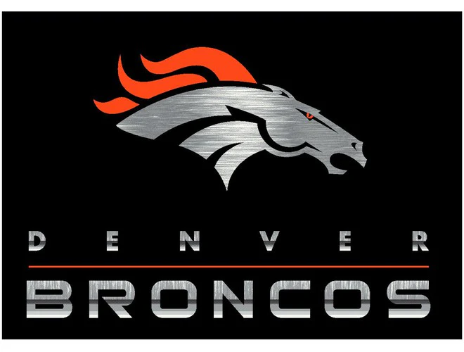 Imperial USA Officially Licensed NFL Chrome Area Rugs - Image 3