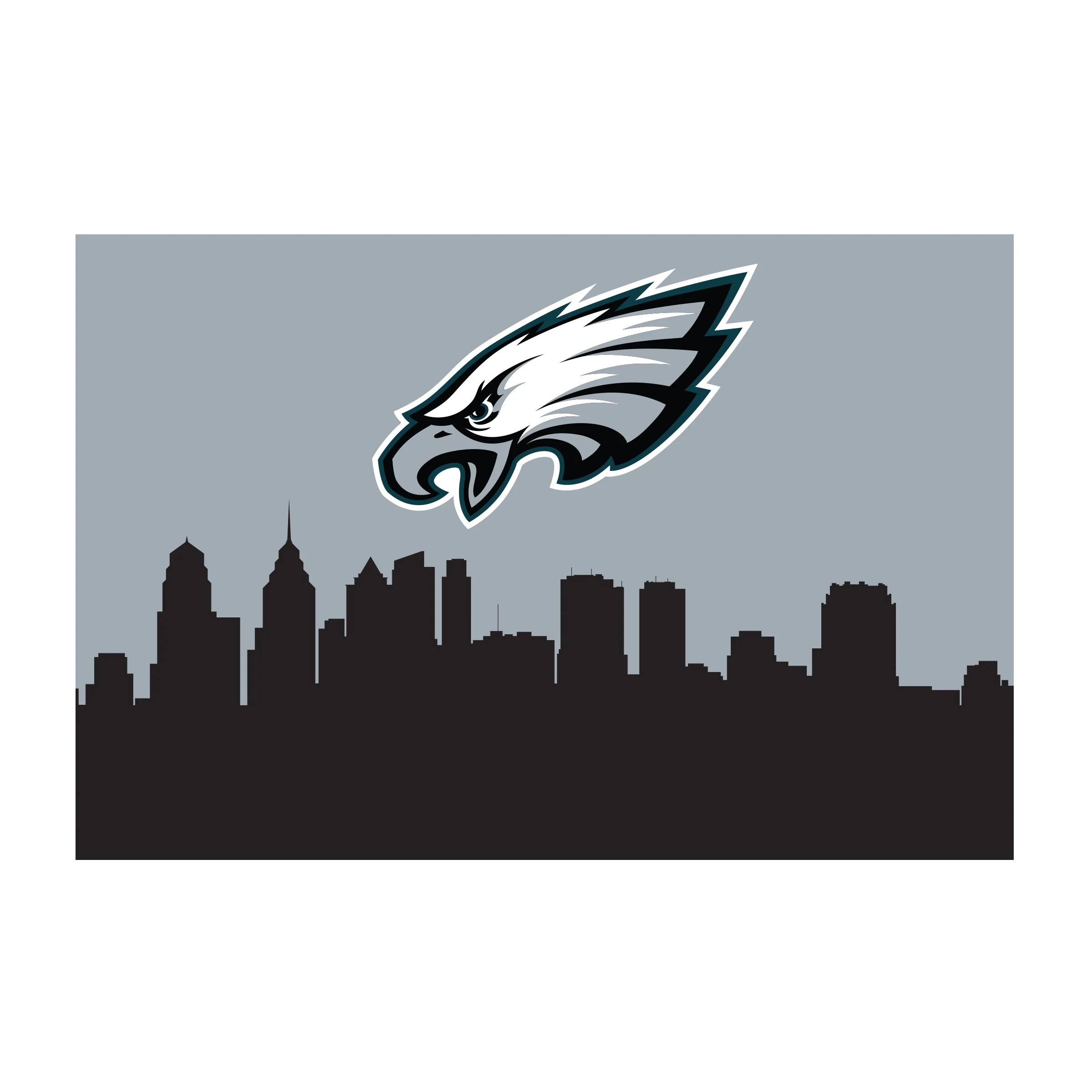 NFL Licensed 2x3 Hometown Area Rugs - Image 46