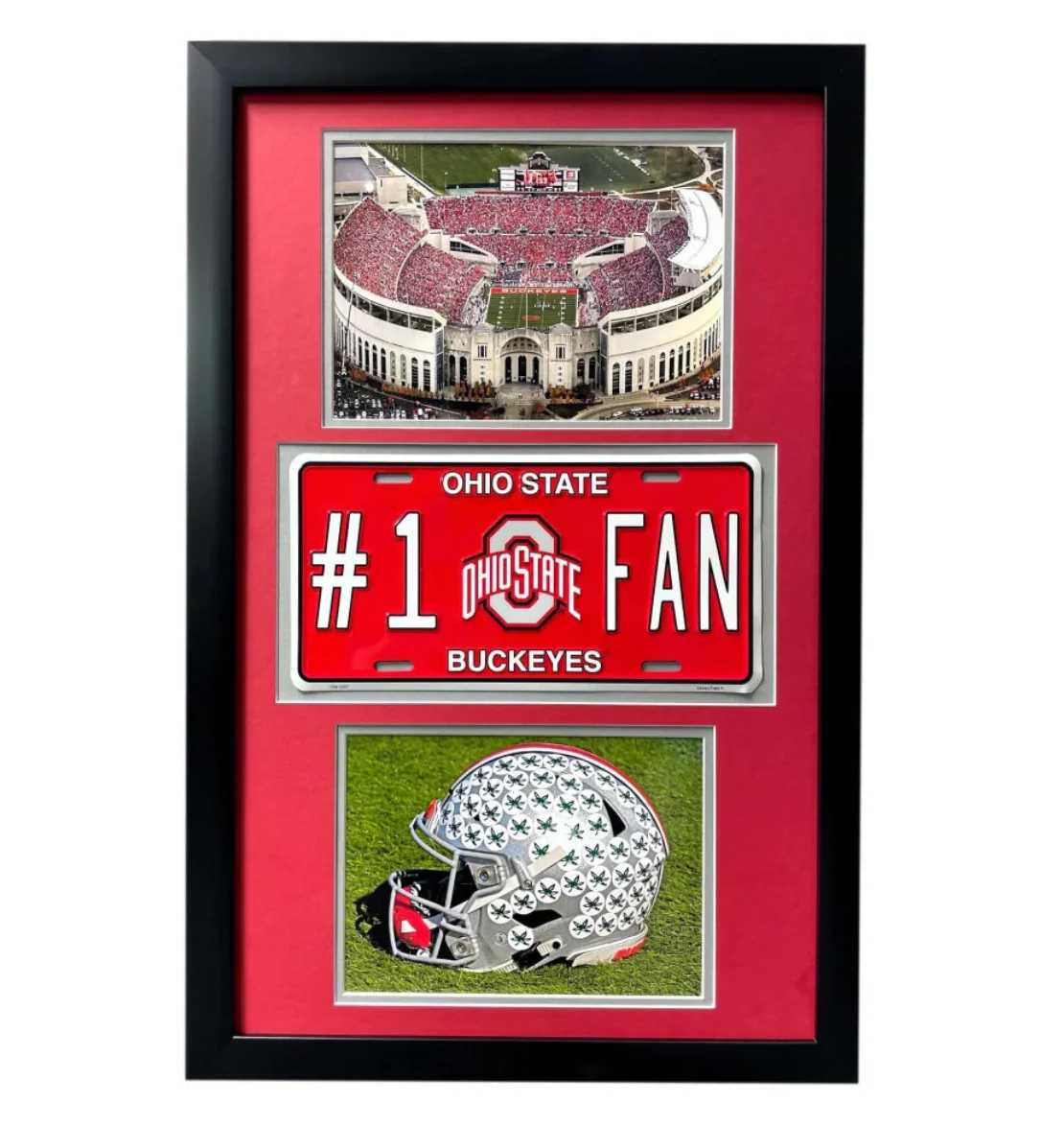 Ohio State Buckeyes Fan License Plate Framed Collage Memorabilia