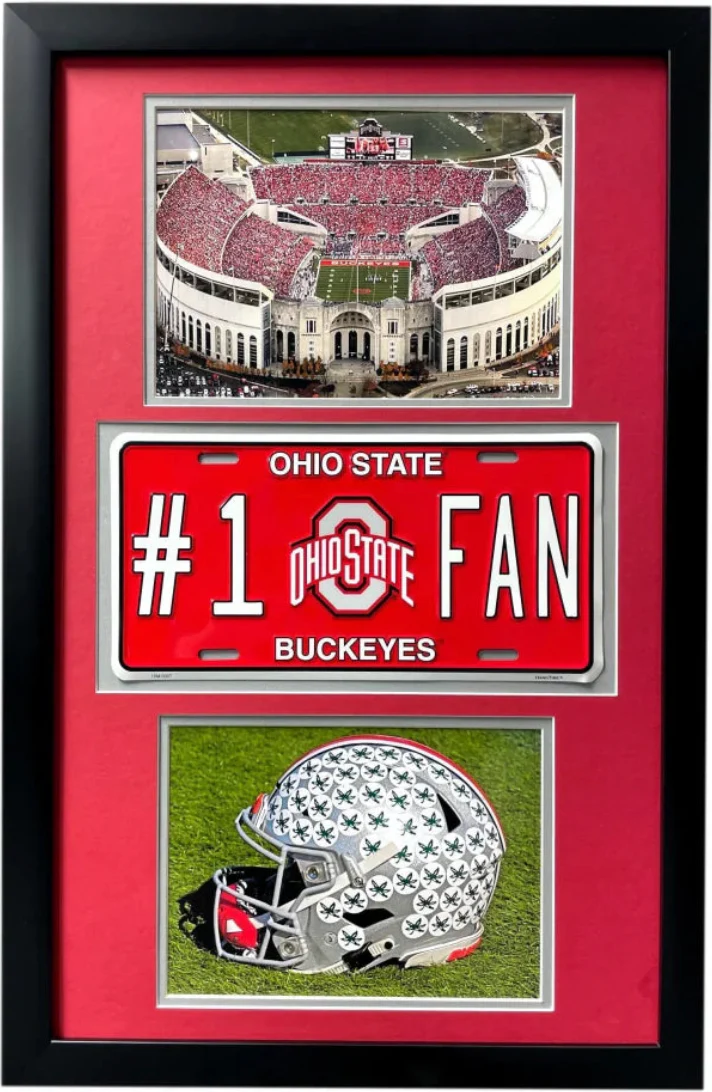 Ohio State Buckeyes Fan License Plate Framed Collage Memorabilia - Image 2
