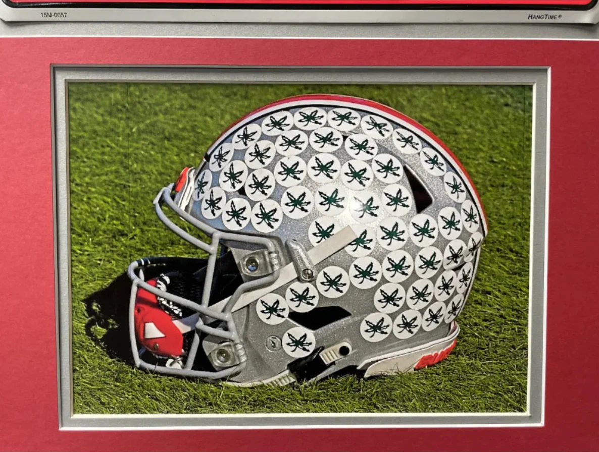Ohio State Buckeyes Fan License Plate Framed Collage Memorabilia - Image 5