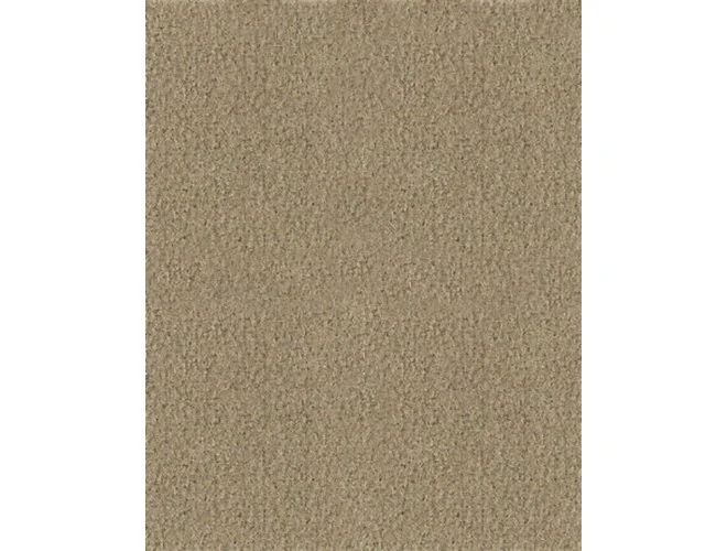 Championship Invitational Cloth with Teflon - Image 19