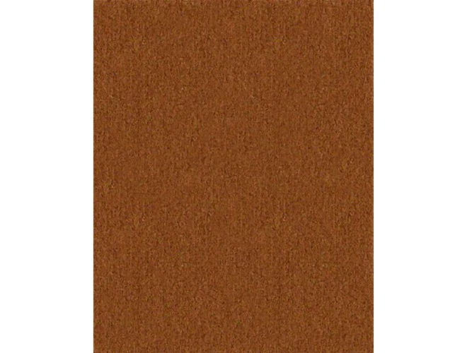 Championship Invitational Cloth with Teflon - Image 22