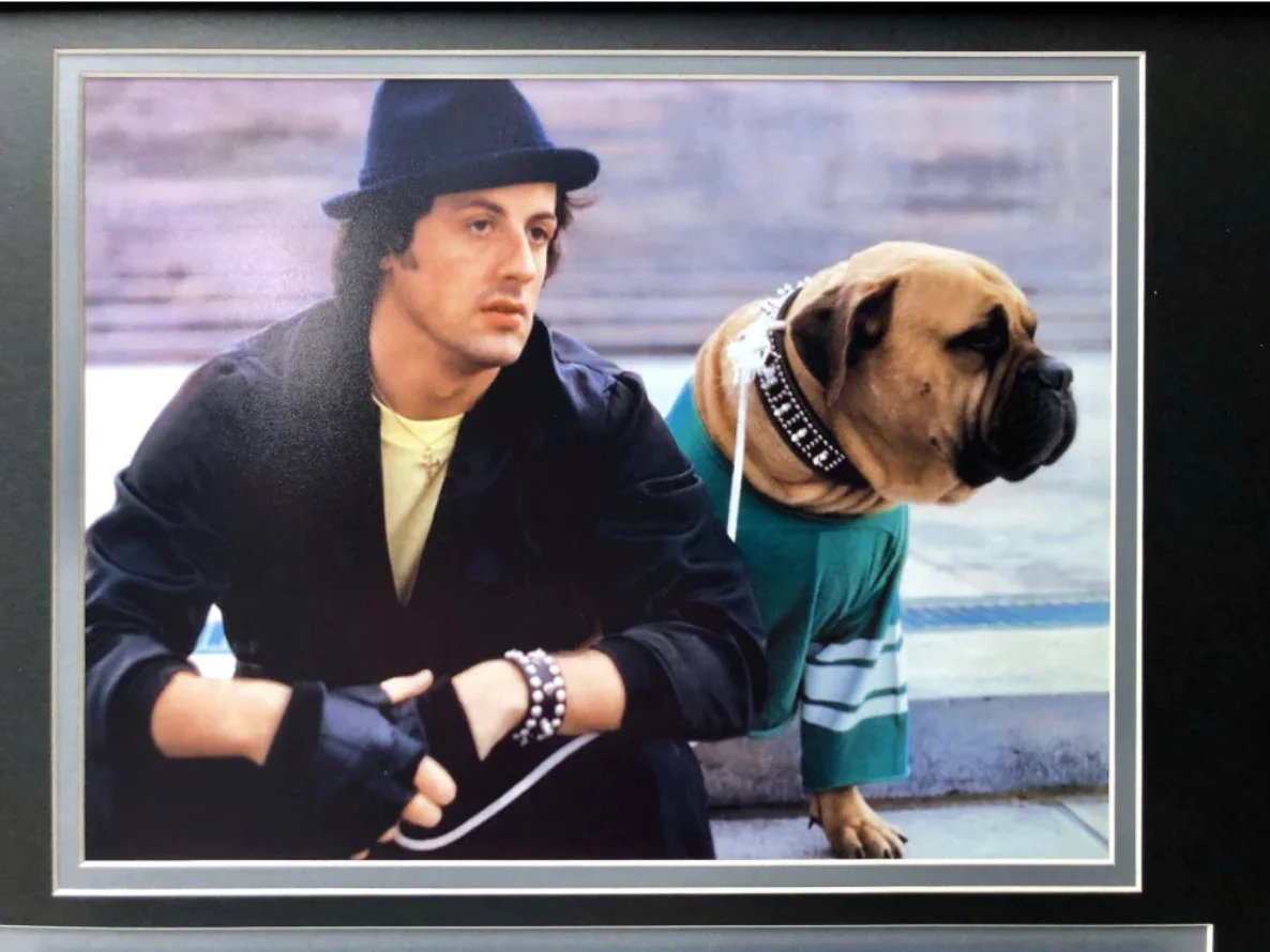 "Rocky IV" Sylvester Stallone Movie Car License Plate Framed Collage - Image 4