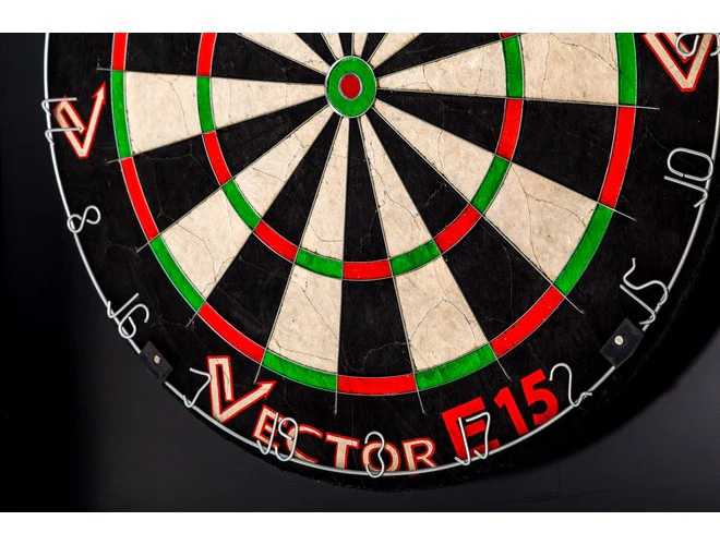 Vector E15 Dartboard - Image 4