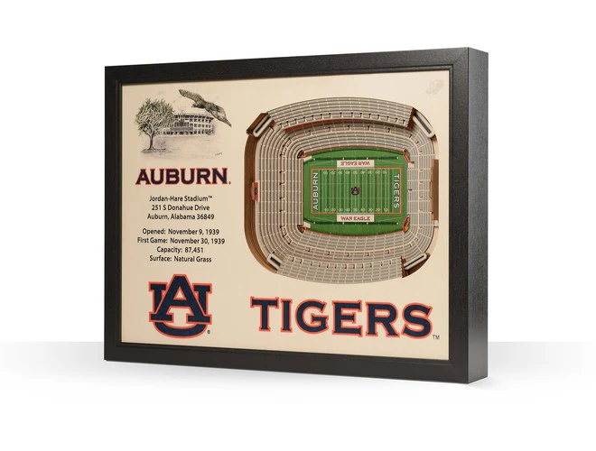 You The Fan! NCAA Stadium View 25-Layer 3D Wall Art - Image 3