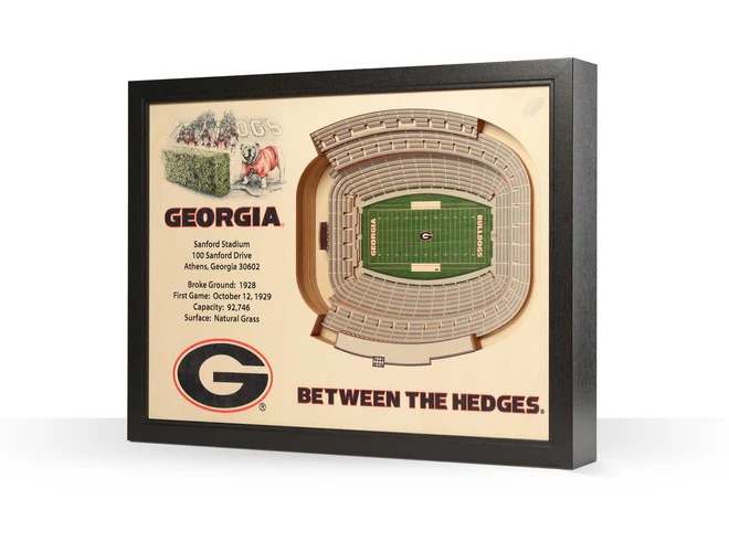 You The Fan! NCAA Stadium View 25-Layer 3D Wall Art - Image 8